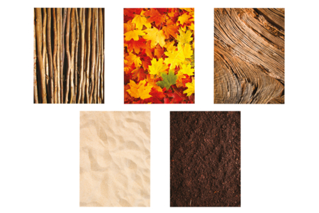 Nature Theme Paper, A4 Size - 30 Sheets - 5 - A4 Papers - 10doigts.com - A4 Papers – 10doigts.fr