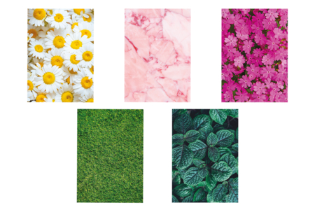 Nature Theme Paper, A4 Size - 30 Sheets - 6 - A4 Papers - 10doigts.com - A4 Papers – 10doigts.fr