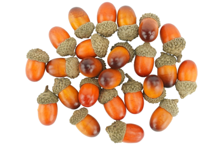 Decorative Acorns - 24 Pieces - 3 - Natural Decorations - 10doigts.com - Natural Decorations – 10doigts.fr