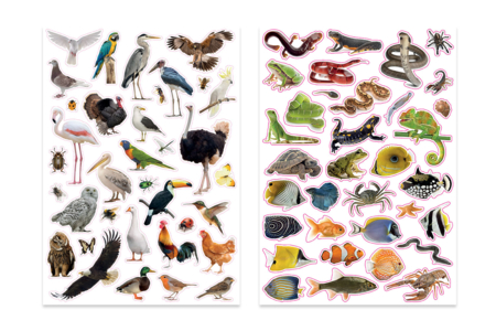 Gommettes Animal Sauvage Realiste - Animal Stickers – 10doigts.fr