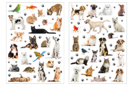 gomets animales - Gomets realistas – 10doigts.fr