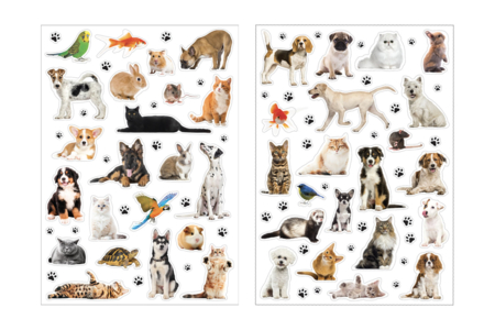 Gommettes Animaux Domestiques Realistes - Animal Stickers – 10doigts.fr