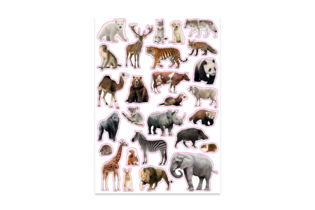 Gommettes Animaux Sauvages Realistes - Animal Stickers – 10doigts.fr