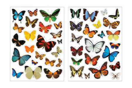Gommettes Papillons Realistes - Animal Stickers – 10doigts.fr