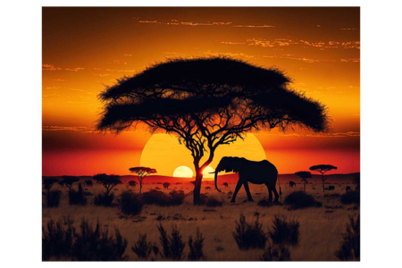 Diamond Painting Kit, Savanna - 40 x 50 cm - 1 - Diamond Painting: Complete Kit - 10doigts.com - Diamond Painting: Complete Kit – 10doigts.fr