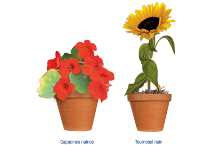 Kit de jardinería - Actividades manuales sobre el tema de la naturaleza para los niños – 10doigts.fr