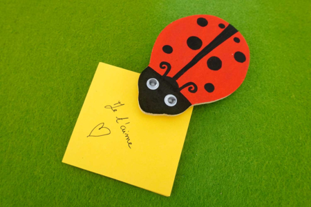 Kit de pensamiento mariquita roja - Bloc de notas – 10doigts.fr