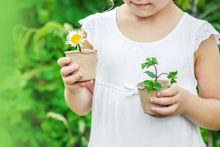 Herb Seeds - 4 - Gardening for Kids - 10doigts.com - Gardening for Kids – 10doigts.fr