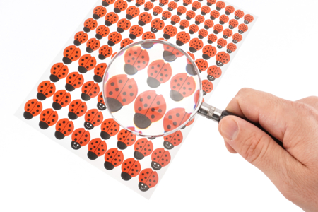 lupa insectos - Descubrimiento de la naturaleza – 10doigts.fr