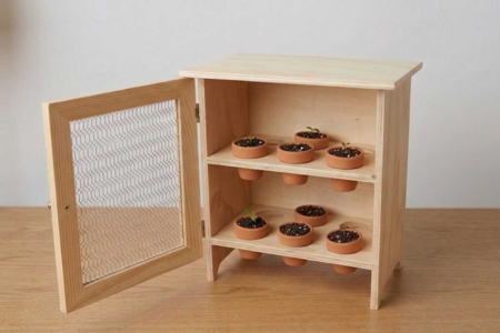 Mini serre de germination - 3 - Arts and Crafts Activities on the Theme of Nature for Children - 10doigts.com - Arts and Crafts Activities on the Theme of Nature for Children – 10doigts.fr