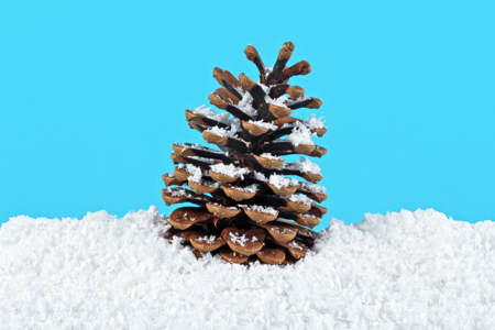 nieve decorativa - Purpurina – 10doigts.fr