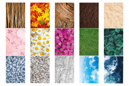 Nature Theme Paper, A4 Size - 30 Sheets - 4 - A4 Papers - 10doigts.com - A4 Papers – 10doigts.fr