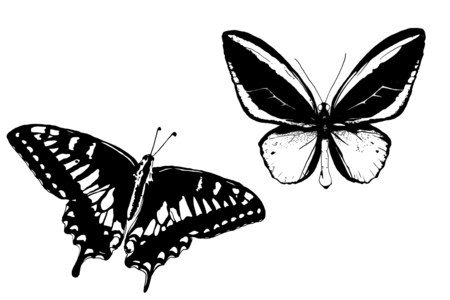 Extra Black China Ink - 250 ml - 6 - Liquid Inks - 10doigts.com - Liquid Inks – 10doigts.fr