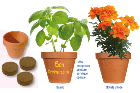 ¿Plantamos flores o plantas aromáticas?: ¿cómo funciona? - Actividades manuales sobre el tema de la naturaleza para los niños – 10doigts.fr