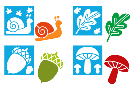Autumn Theme Stencils - 8 Pieces - 2 - Nature Stencils - 10doigts.com - Nature Stencils – 10doigts.fr