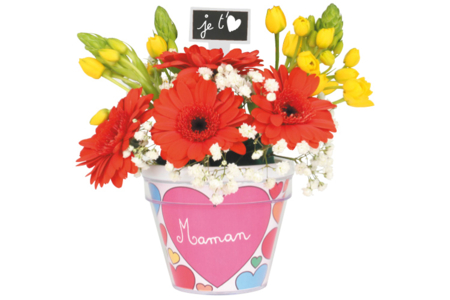 Coloring Flower Pot - 6 - Animal and Nature Kits - 10doigts.com - Animal and Nature Kits – 10doigts.fr