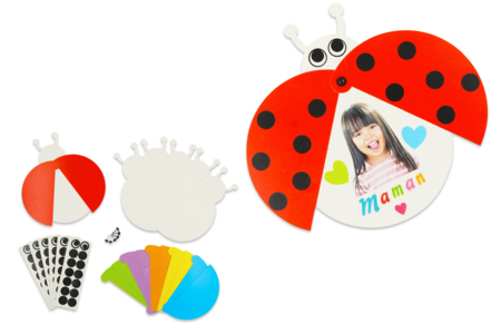 Juego de 6 tarjetas de mariquitas móviles - colores surtidos - Kits listos para usar – 10doigts.fr
