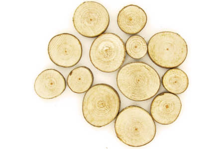 Set de aproximadamente 10 rodajas redondas de madera (assortidas de 2,5 a 5 cm - Grosor : 8 mm) - Decors naturaleza – 10doigts.fr