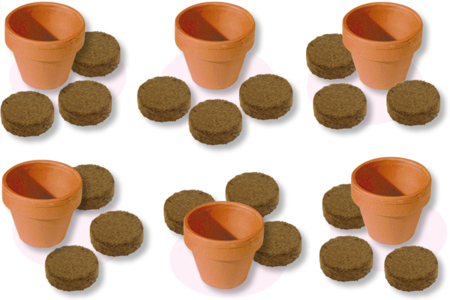 Set horticulteur que incluye 6 macetas de terracota + 12 pastillas de tierra comprimida - Jardinería niños – 10doigts.fr