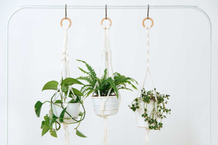 Wooden Rings - Custom Dimensions - 13 - Wood Beads - 10doigts.com - Wood Beads – 10doigts.fr