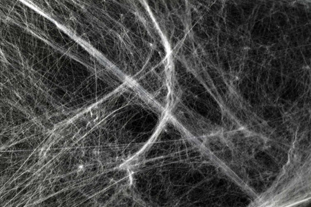 tela araña decoración halloween - Accesorios creativos Halloween – 10doigts.fr