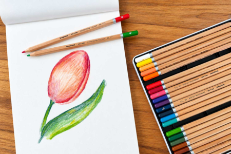 tulip with coloring pencils - Fine Art Colour Pencils – 10doigts.fr