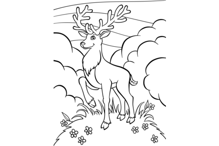 Dibujos para imprimir : Animales-bosque3 – 10 Doigts