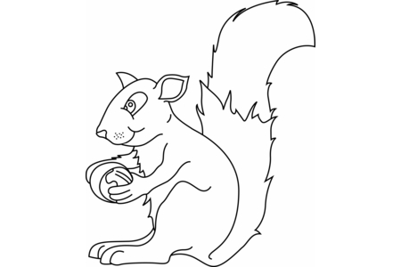 Printable coloring pages: Squirrel 03 – 10 Doigts