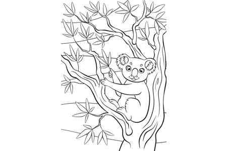 Printable coloring pages Jungle animals 5 – 10doigts