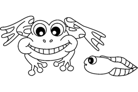 Printable coloring pages Frog 04 – 10doigts