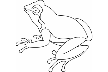 Printable coloring pages Frog 07 – 10doigts