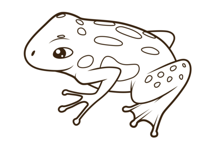 Printable coloring pages Frog 09 – 10doigts