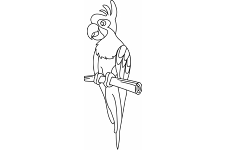 Printable coloring pages Parrot 01 – 10doigts