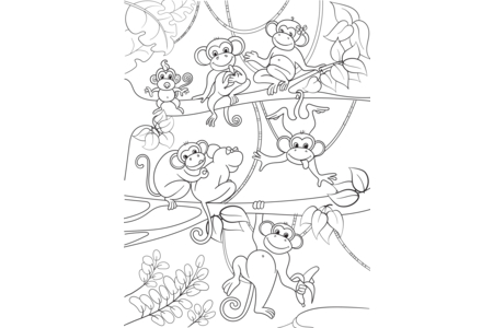 Printable coloring pages Monkey12 – 10doigts