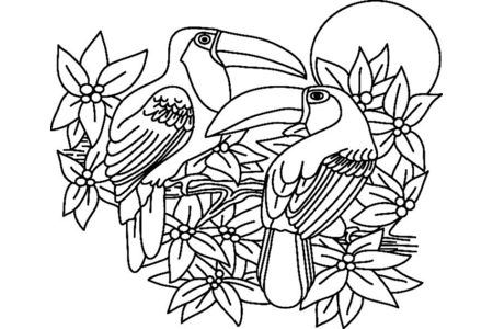 Printable coloring pages Toucan02 – 10doigts
