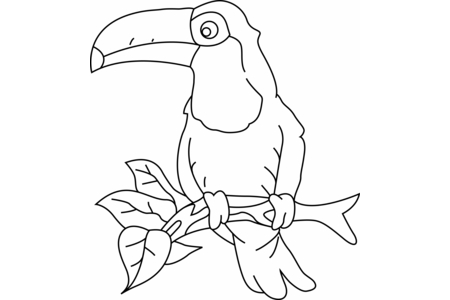 Printable coloring pages Toucan03 – 10doigts