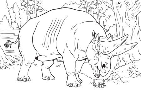 Printable coloring pages: Savannah-animals10 – 10 Doigts