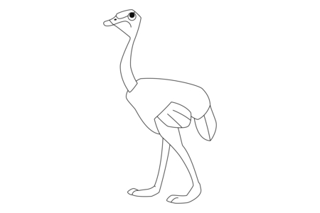 Printable coloring pages: Ostrich 02 – 10 Doigts