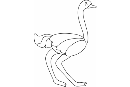 Printable coloring pages: Ostrich 04 – 10 Doigts