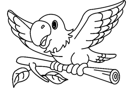 Printable coloring pages: Parrot02 – 10 Doigts
