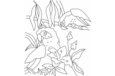 Printable coloring pages: Parrot03 – 10 Doigts
