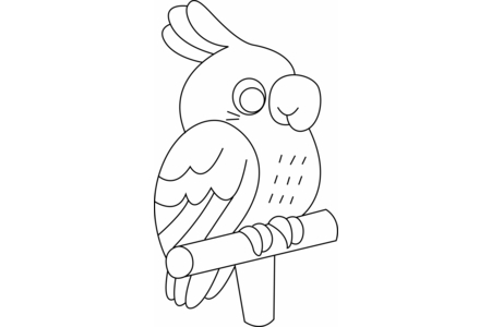 Dibujos para imprimir : Perruche01 – 10 Doigts