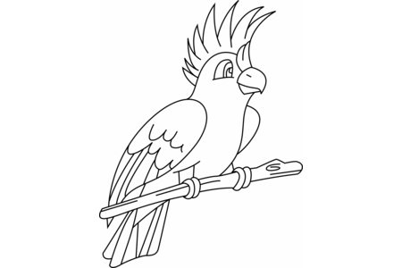 Dibujos para imprimir : Perruche02 – 10 Doigts