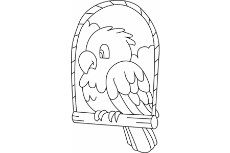 Printable coloring pages: Parakeet03 – 10 Doigts