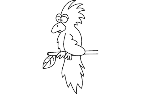 Dibujos para imprimir : Tucán 004 – 10 Doigts