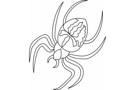 Dibujos para imprimir : Araña 01 – 10 Doigts