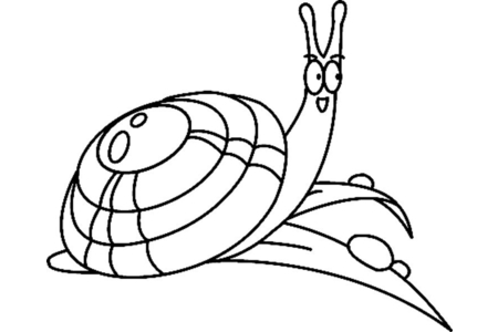Printable coloring pages: Snail 01 – 10 Doigts