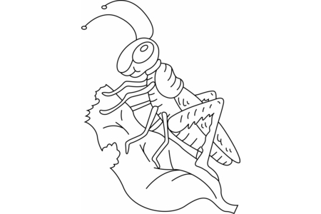 Printable coloring pages: Grasshopper 01 – 10 Doigts