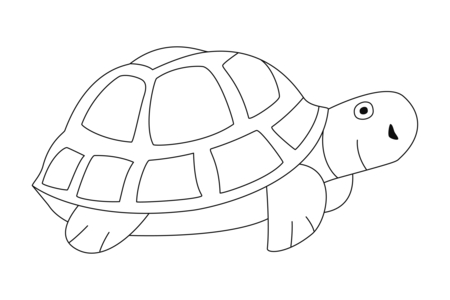 Printable coloring pages: Turtle 04 – 10 Doigts