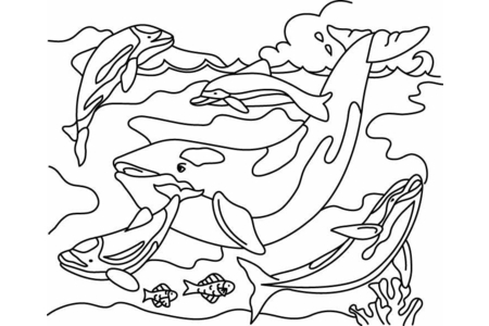 Dibujos para imprimir : Ballena 03 – 10 Doigts